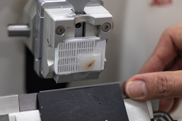 Study Histological sample and preparing a biopsy by use Microtome in Lab.