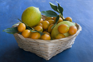 A basked full of kumquats leafs and lemons
