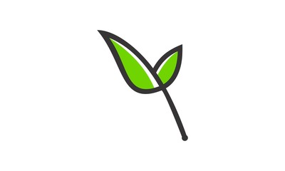 Obraz premium leaf logo green