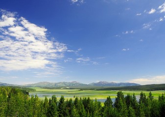 Fototapeta na wymiar Yellowstone Sky and Field