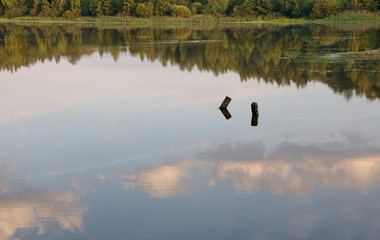 Morning clouds are reflected in the water of a forest lake. Moscow region. Russia.