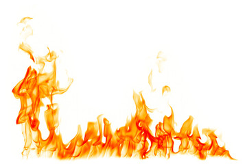 Fire flames burn on a white background.