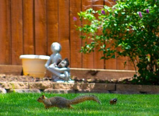 Pandemic Chicks and Adventure Cat Jazz