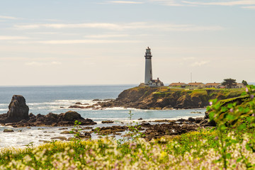 Fototapeta na wymiar Scenic view of Pigeon Point Lighthouse, California