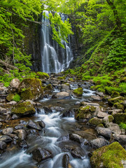 Fototapeta premium 亀田不動滝 秋田県