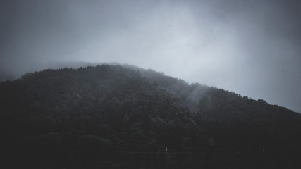 朝霧の山