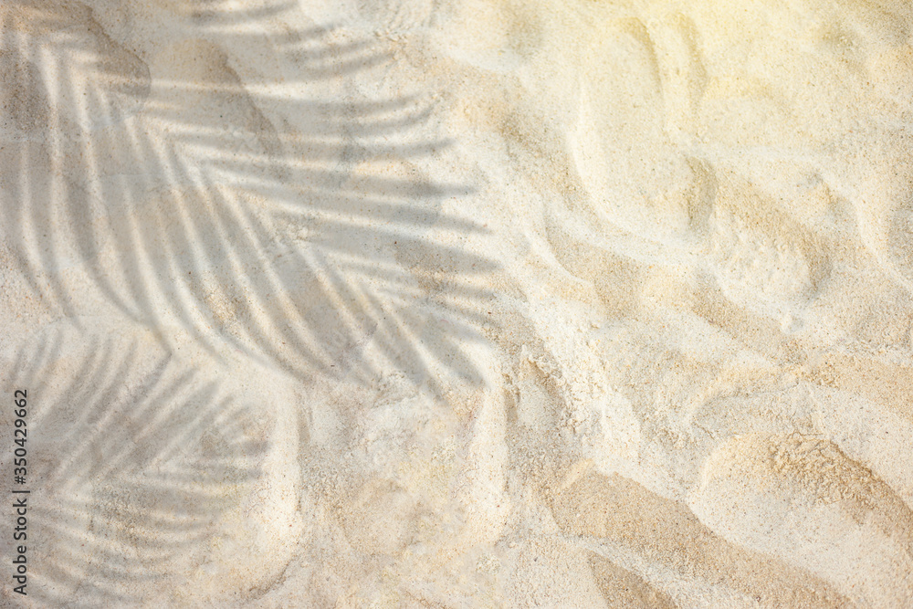 Poster top view of tropical palm leaf shadow on sand color background. minimal summer concept. flat lay