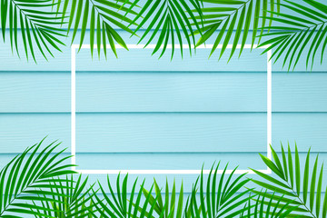 top view of tropical palm leaf white frame on blue wooden background, copy space minimal summer concept, flat lay