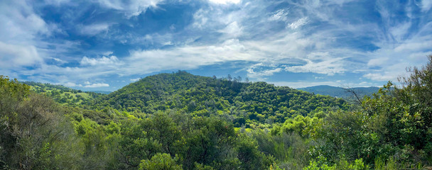 Fototapeta na wymiar Panorama of Hill at Indian Springs Creek Along the South Fork of the American River California