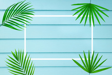 top view of tropical palm leaf white frame on blue wooden background, copy space minimal summer concept, flat lay