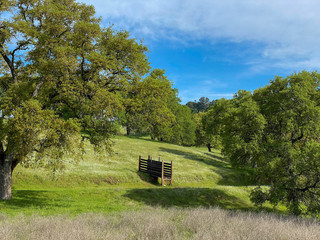 Cattle Gate Along Acorn Creek Trail