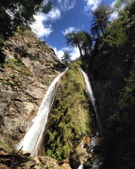 Waterfall In The Forest