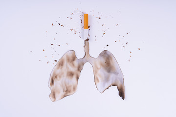 Cigarette smoke's lungs. The cigarette destroy lungs on white background. Cigarette causes cancer...