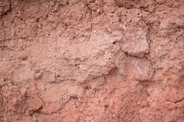 Soil cut. Pink-red colors. Passages of insects, plant roots, cracks. Concept of geology, archeology.