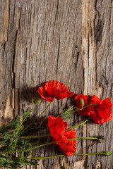 Obraz premium Red poppy on a wooden table with copy space. Top view