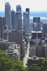 Fototapeta premium Montreal view from Mount Royal in summer day.