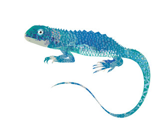 blauer Leguan Collage aus verschiedenen Muster