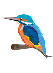 facettenreicher Eisvogel mit leuchtendem Gefieder