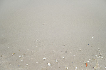 Soft wave with blue ocean on sandy beach.