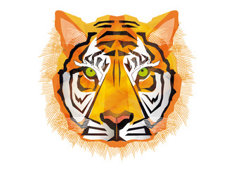 facettenreicher faszinierender Tiger Kopf