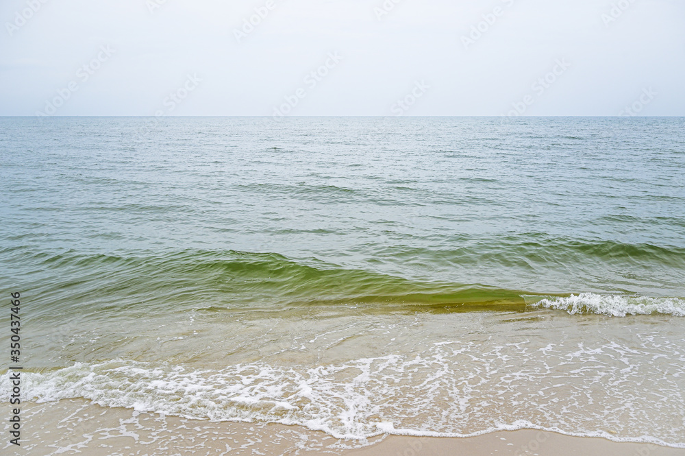 Wall mural soft wave with blue ocean on sandy beach.