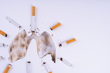 Cigarette smoke's lungs. The cigarette destroy lungs on white background. Cigarette causes cancer...