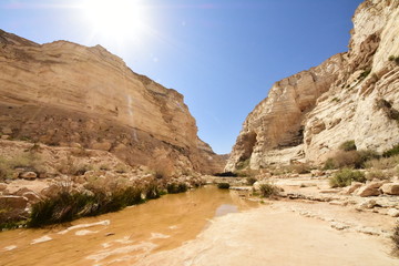 中東随一の自然・風景　ネゲブ砂漠（イスラエル）