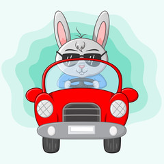Cute rabbit cartoon driving a car