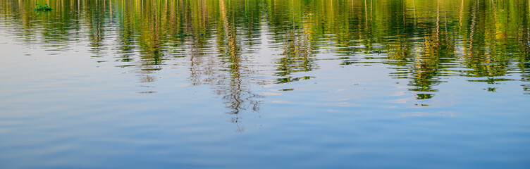 Circle water ripple with the nature reflections.