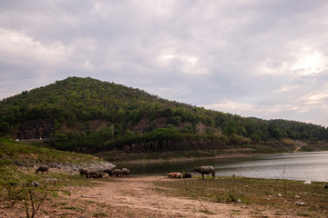 landscape with lake and mountains