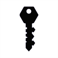 Key, isolated simple vector illustration