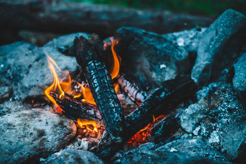 Vivid smoldered firewoods burned in fire close-up. Atmospheric warm background with orange flame of...