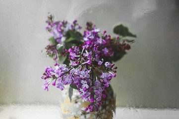 branches of fresh blooming purple lilac with green leaves in a vase on a light table in natural light through a wet glass with water drops and streaks, selective focus, art shot