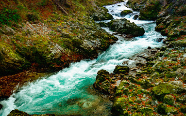 the mountain river descends among the stones and the autumn leaves