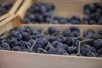 blueberries in a basket
