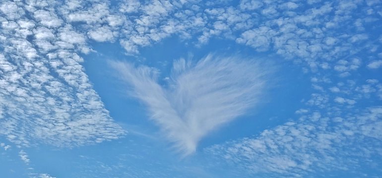Heart shaped cirrocumulus cloud pattern over Houston, TX. Fallstreak Hole, or Hole Punch cloud are the common names for these formations, and some are caused by aircraft.