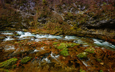 the mountain river descends among the stones and the autumn leaves