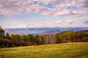 Mountain landscape of meadow and forest and blue mountain range with dramatic sky