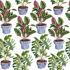 Watercolor seamless hand drawn pattern potted indoor flowers on white isolated background. Monstera calathea prayer plant. Green foliage grey pink soft pastel violet pots interior design urban jungle