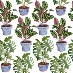 Wall murals Plants in pots Watercolor seamless hand drawn pattern potted indoor flowers on white isolated background. Monstera calathea prayer plant. Green foliage grey pink soft pastel violet pots interior design urban jungle
