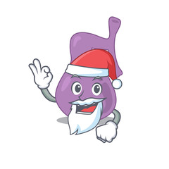 cartoon character of gall bladder Santa having cute ok finger