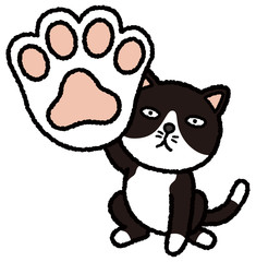 肉球ハチワレ猫