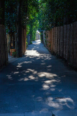 Fototapete bei efototapeten.de bestellen   