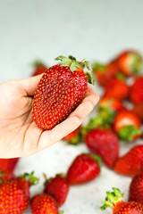 Child hand holding freshly picked strawberries on the table. Natural organic food production. Heap of summer red berries. Homegrown, gardening and agriculture consept. Healthy eating. Soft focus