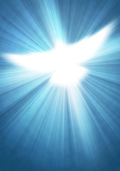 shining dove with rays