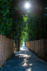 Fototapete bei efototapeten.de bestellen   