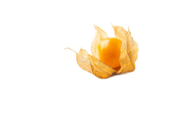 Fresh cape gooseberry isolated over white background - colorful fruit cape gooseberry background concept