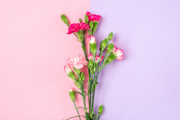 bouquet of different pink carnation flowers on double colorful background Top view Flat lay Holiday card 8 March, Happy Valentine's day, Mother's day concept
