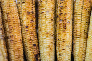 Background of grilled corn food.