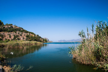 Fototapeta premium mountain lake in the summer